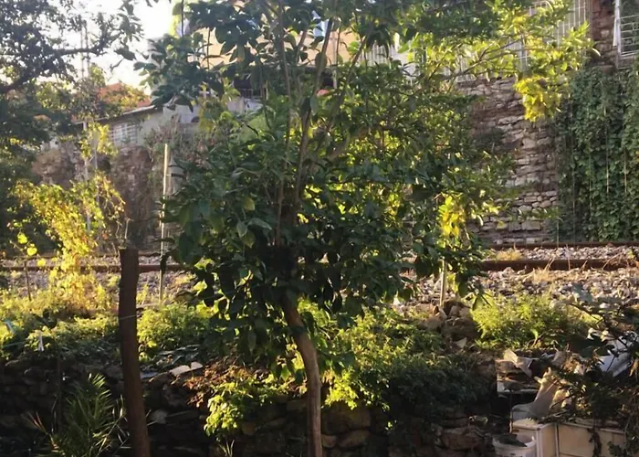 אכסניה Piya Boutique *