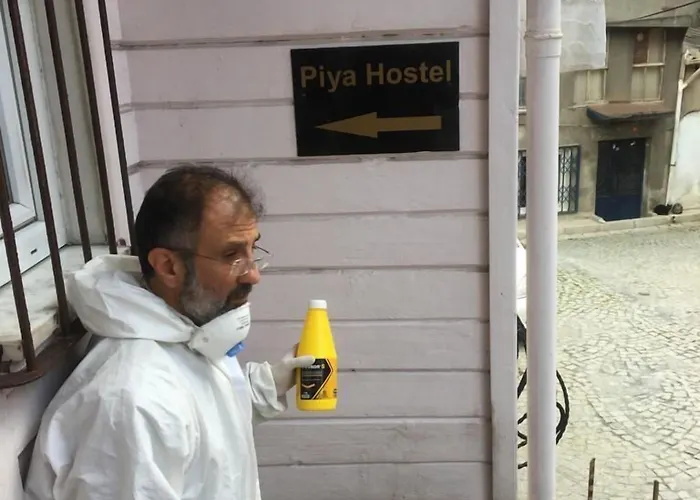 旅馆 Piya Boutique 伊斯坦布尔