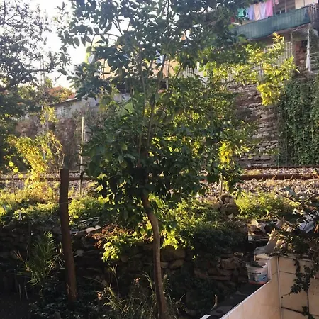 호스텔 Piya Boutique *